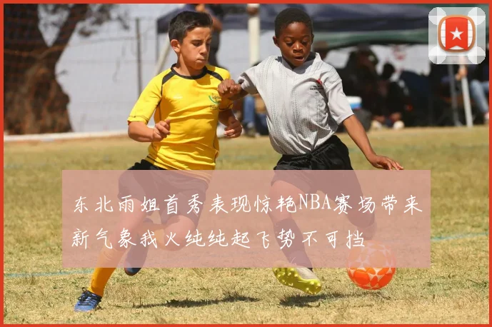 东北雨姐首秀表现惊艳NBA赛场带来新气象我火纯纯起飞势不可挡