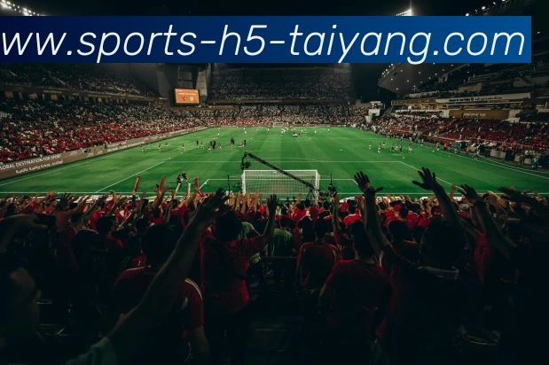 太阳城发展历程